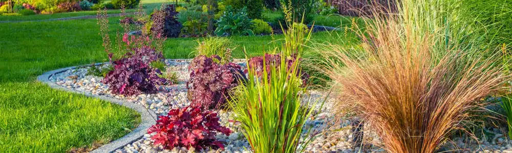 Belles Saisons L C Enr photo 6